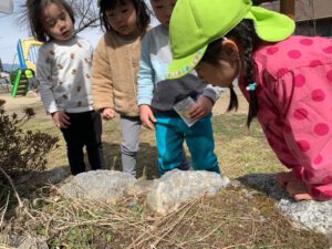 Nagano Aurora –  Hello July! Hello Summer! (July 1st-5th) 