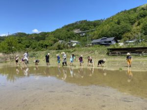 Grades 3 and 4: World Tour / Rice Planting