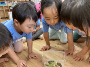 Savanna: We are Sharing the Planet with Minibeasts! July 1-5