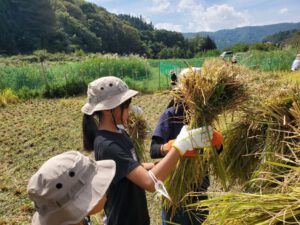 Grade 5 –  🌾💃🕺🗾🧙‍♂️