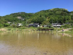 Reading, rice planting & wood work