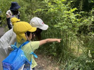 Nature Walk: Rainforest 06/03 – 06/07