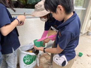 Grades 3 and 4: Little Gardeners