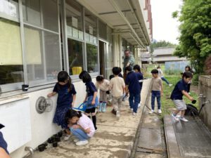 Grade 2 – Let’s grow new things!