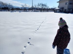 Nakano Rainbow & Shooting stars: Discovering footprints