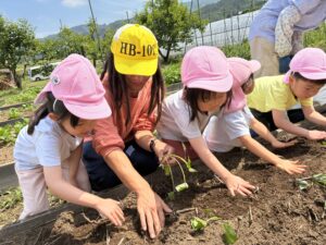🍠Sweet Potato Planting! SS 6/2-6/6