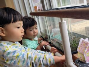 Nakano Rainbow: Our Little Aquarium.