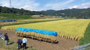 Delighting in Autumn’s Bounty with Grade 4.