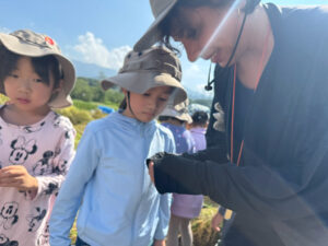 A Joyful Day of Rice Harvesting! 🌾