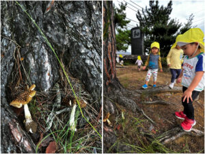 Nagano Rainbow – Let’s go play outside!🌳🍄🌿 (October 6th – October 10th)