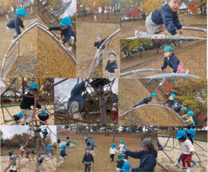 Autumn Fun- Waterfall- 11.10-11.14