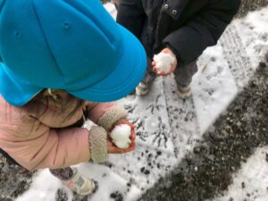 Happy New Year! Waterfall -2026.1.5-1.9