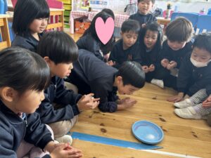 LEARNING BEYOND THE CLASSROOM- Rainforest Jan. 26th-30th