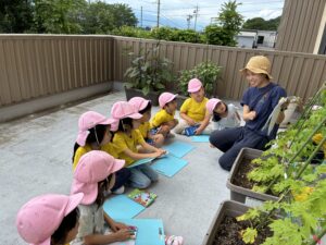 Rainforest: Teamwork (07/06 – 07/10)