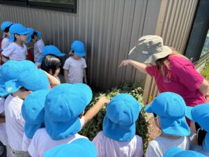 Small Creatures, Big Discoveries! 🐞🌿 SV 7/13-17