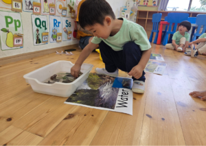 Inquiring into Animal Habitats! WF 8/6