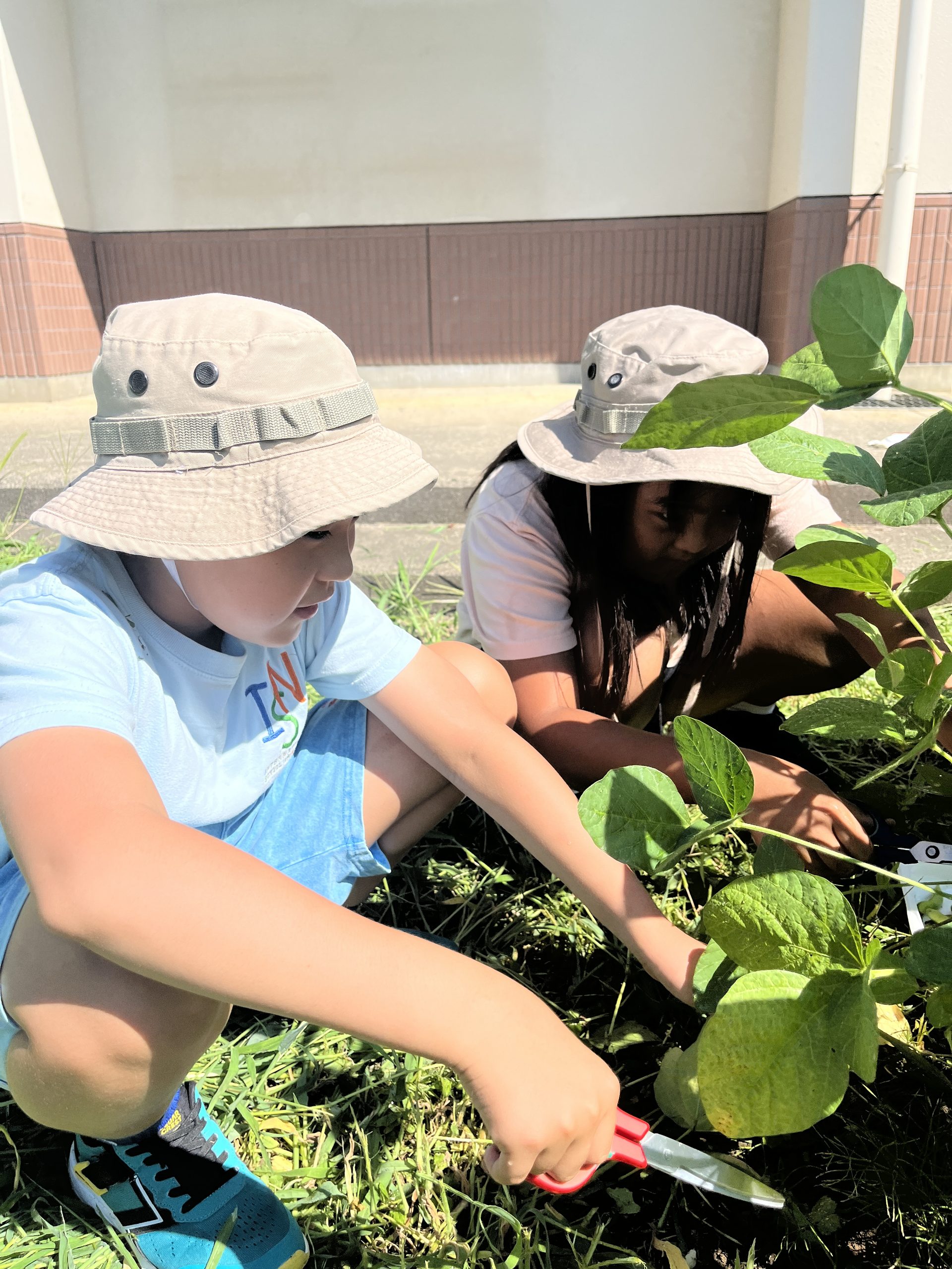 Nakano Grade 5: From Our Homes to the World: Exploring Global Connections Through Trade 🌏(August 24th-28th)