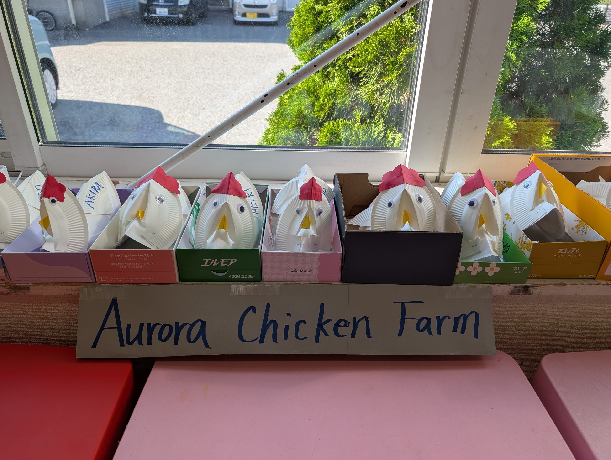 Learning to care for chickens- Aurora- August 24-28, 2026
