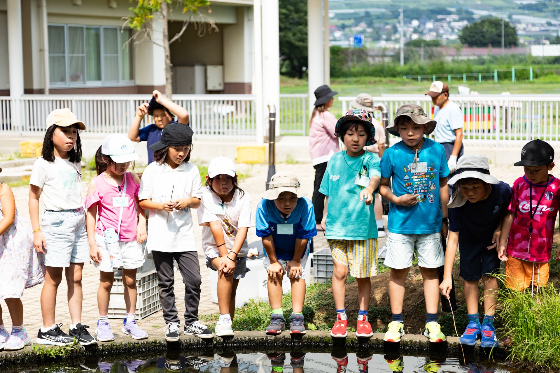 中野キャンパス小学部の児童たちが、屋外の水辺に並んで水面をのぞき込んでいる様子