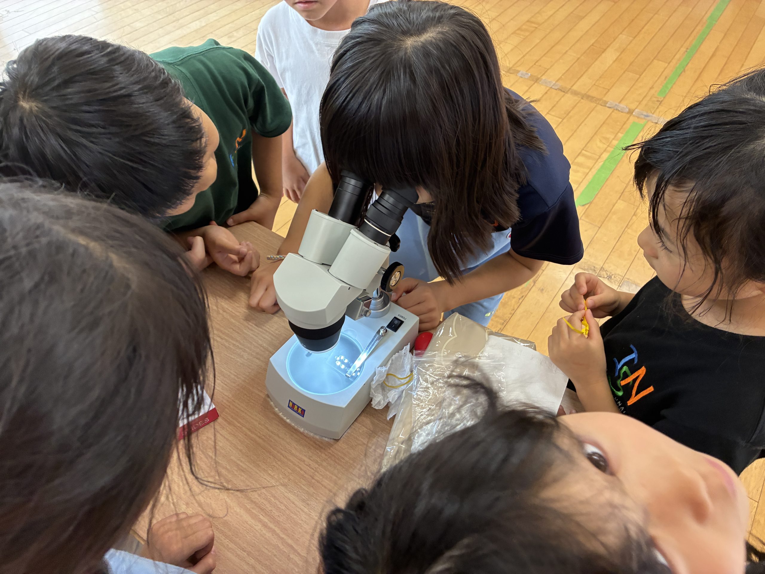 Nakano G1/2: Food web and the roles