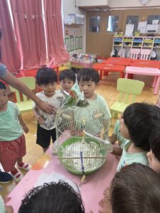 🐔 Continuing Our Animal Inquiry