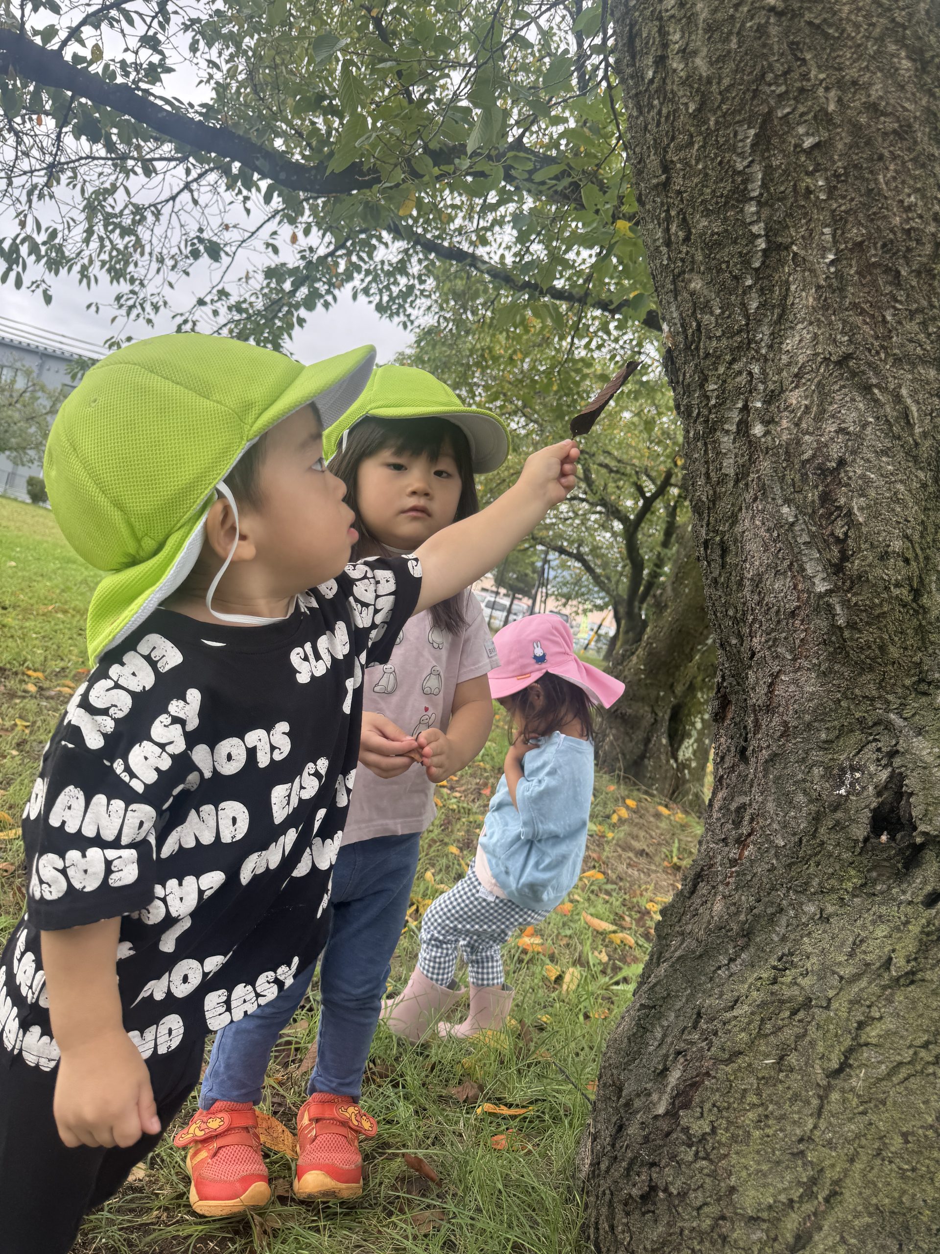 Nagano Rainbow: Curious Mind On the Move! (September 7th-11th)
