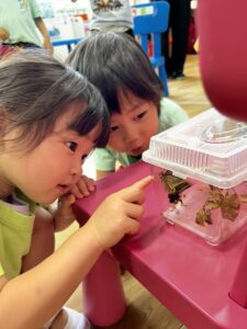 Nagano Aurora -🐾 Tiny Animal Explorers: Learning Through Fun and Play (August 31st- September 4th)