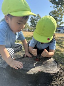 Nagano Rainbow: Little Nature Explorers with Big Imaginations! (October 12th-16th)