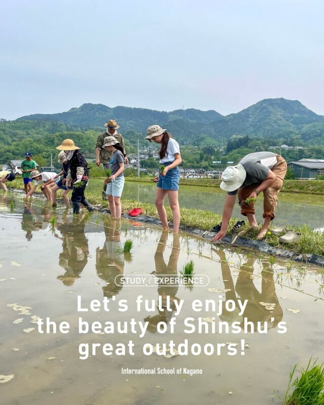 @isngojo

Rice planting season is here again! 🌾
At ISN Gojo Campus, the children took part in our annual rice planting activity this year too.

Lining up side by side under the open sky, they carefully planted seedlings, feeling the texture of the soil with their hands and feet.
Spending time in nature like this has become one of our cherished yearly traditions. 🌿

Here’s to another year of healthy, delicious rice growing strong! ♪

＿＿＿＿＿＿＿＿＿＿＿＿＿＿＿＿＿＿＿＿＿＿＿＿＿

今年も田植えの季節がやってきた🌾
ISN五常キャンパスでは、子どもたちが毎年恒例の田植えを行いました！

青空の下、一列に並んで、手足で土の感触をじっくり感じながら、苗を丁寧に植えていく時間。
自然の中で過ごすこのひとときは、私たちにとって大切な年中行事のひとつです🌿

今年も、おいしいお米が元気に育ちますように…♪

＿＿＿＿＿＿＿＿＿＿＿＿＿＿＿＿＿＿＿＿＿＿＿＿＿

#ISN #InternationalSchoolOfNagano #インターナショナルスクールオブ長野 #松本市インターナショナルスクール #長野県インターナショナルスクール #インターナショナルスクール #国内留学 #教育移住 #ISN_about